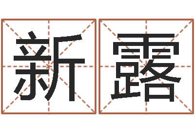 李新露问名访-男孩取名用什么字好