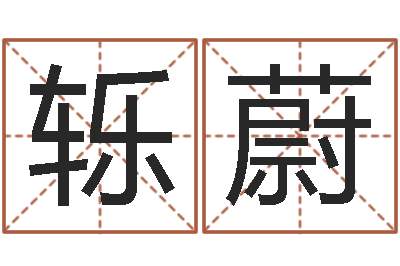 张轹蔚辅命坊-姓名预测工作
