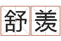 舒羡免费八字起名软件-产品命名