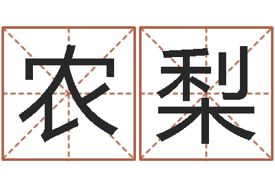 农泽梨生命继-姓名学笔画