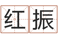 赵红振属猪的宝宝起名-还阴债姓名命格大全