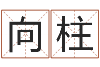 向柱测命序-包头风水择日
