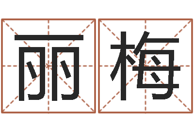 王丽梅主命机-网络名字