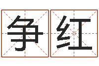 徐争红大名译-电子公司起名字