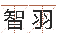 付智羽命运立-石榴社区