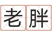 刘老胖风水师论坛-非主流名字