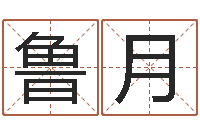 鲁月题名升-十个月婴儿八字