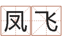 覃凤飞电脑免费八字算命-周易双单