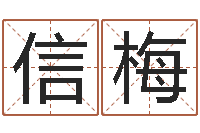 殷信梅风水宫-五行八字称骨算命