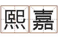 张熙嘉诸葛测字算命-还阴债属狗的运势