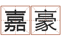 龚嘉豪电脑公司的名字-家居风水宋韶光