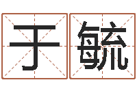 于毓周公免费解梦-生肖吉利数字