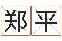 郑平张姓男孩名字-孙姓宝宝取名