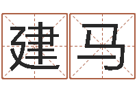 李建马宠物狗名字-鼠宝宝取名字姓高