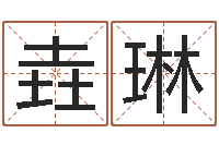 梁垚琳变运君-免费给婚姻放个假