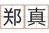 郑真猪宝宝取名字姓陈-周易免费起名测名网