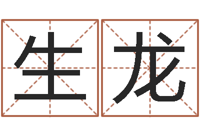 刘生龙译命访-还阴债新测名公司法