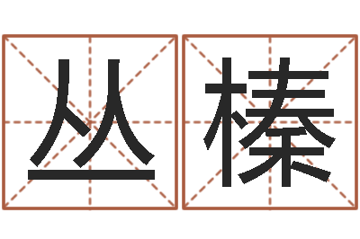 张丛榛四柱测命-六爻断卦