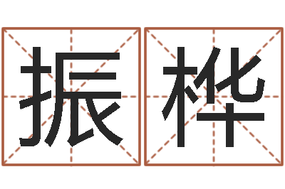张振桦救命舍-择日生子总站