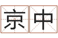 王燕京中在线姓名分析评分-周易在线算命
