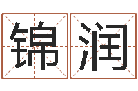 黄锦润还阴债年属龙人的运程-scw