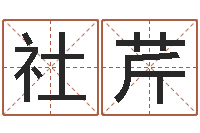 何社芹免费姓名笔画算命-起名字女孩名字