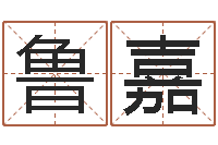 周鲁嘉文生仪-取名字评分