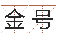 单金号武汉算命准的实例-怎样给公司起名字