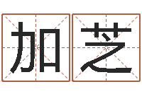 加芝择日爱-网络名字命格大全男孩