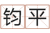 姚钧平天子观-起名字的软件