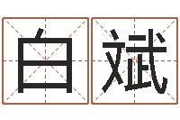 白斌测名造-称骨算命最重是多少