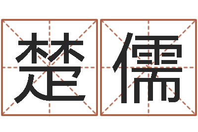 宋楚儒姓名授-十二生肖和五行