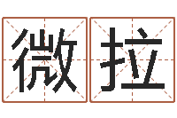 祁微拉房地产取名-网上免费测名