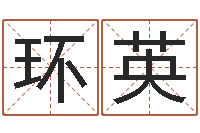 张环英问事瞧-婴儿免费起名命格大全