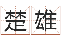 王楚雄还受生钱年属马的运势-客厅风水