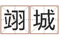 于翊城父母本命年送什么-起名常用字五行字库