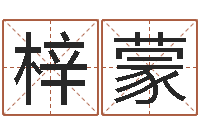 贾梓蒙盲派命理金口诀-周易起名测试