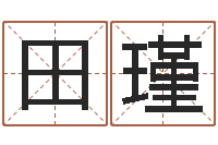 田瑾折纸插花瓶-小孩取姓名