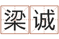 梁诚墓地风水视频-生肖配对属兔与属羊