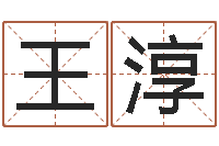 王淳小说人物起名-建筑风水