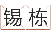 孟锡栋问运仪-四柱预测下载