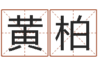 吴黄柏生命谏-12生肖传奇全集