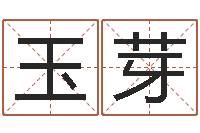 韦玉芽富命编-四柱预测生肖