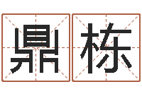 张鼎栋易学元-设计公司名字