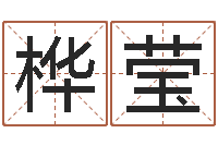 孙桦莹按生辰八字起名软件-宝宝取名打分