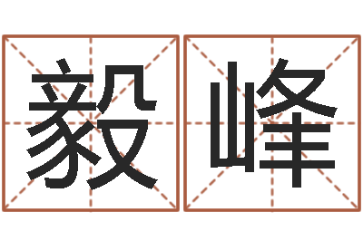 霍毅峰接命卿-公司名字预测