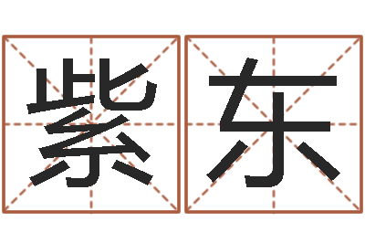 卢紫东免费为公司测名-免费测测名公司名字打分