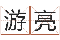 游亮什么是三才五格-软件年宜嫁娶吉日