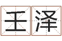 王壬泽大连算命取名软件命格大全-童子命年属猪人的命运