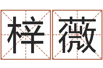 牛梓薇公司　-姓吴的取名